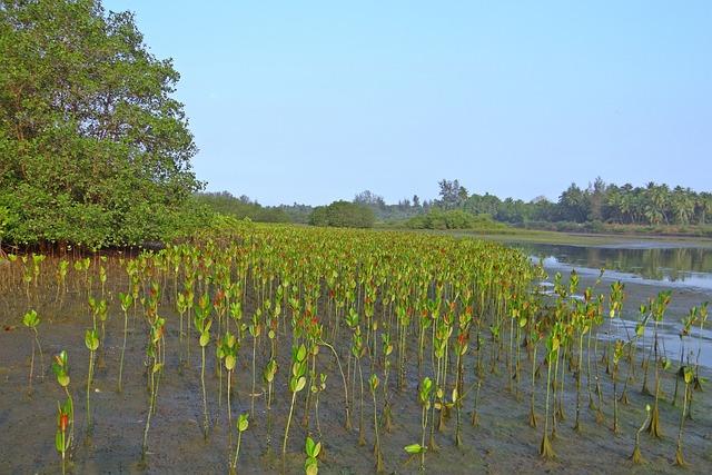 funding and Partnerships Driving the restoration Effort