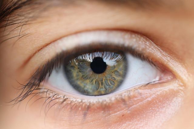 Examining the Growth Potential of MC Vision in the context of African Content Distribution