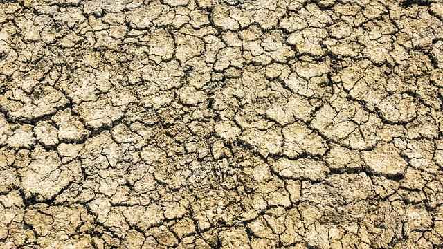 Humanitarian Consequences: The Impact of Water scarcity on Local Populations