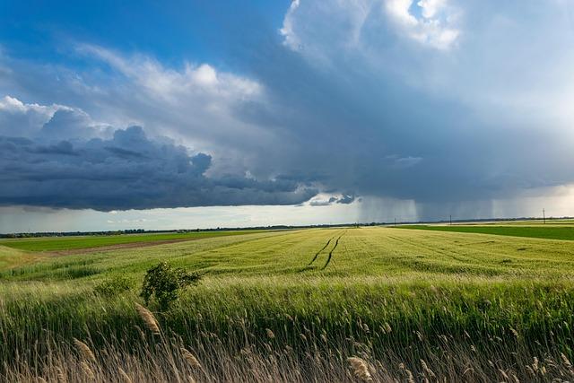 Policy Recommendations: Government and NGO Collaboration for Sustainable Agriculture Support