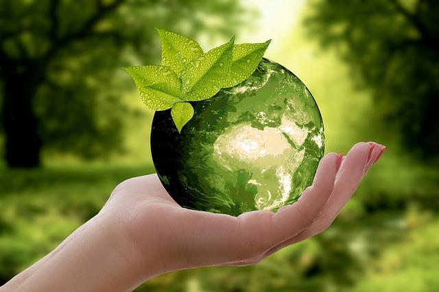 Emphasizing Sustainability: Environmental Considerations in Event Planning