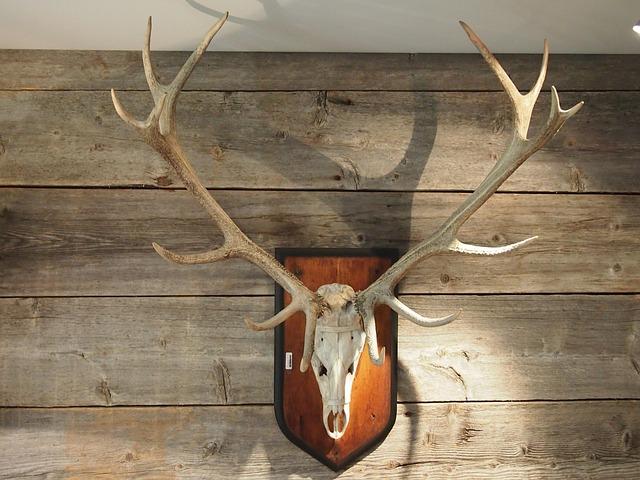 The Economic Impact of Trophy Hunting on Local Communities