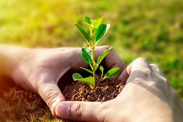 Building Partnerships: Enhancing Collaboration Between Nigerian and Zimbabwean Farmers