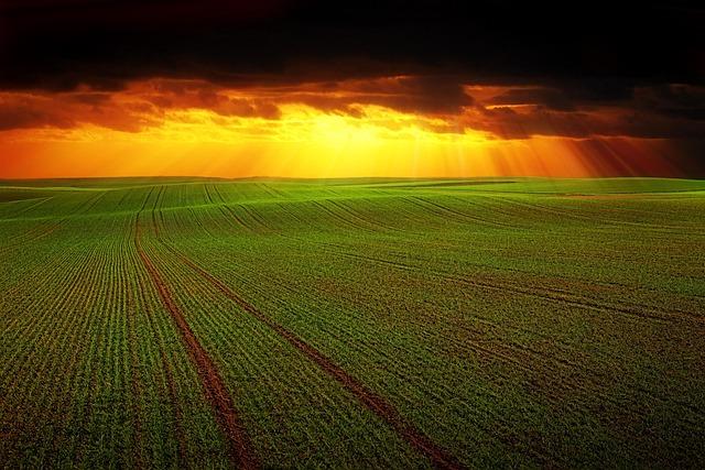 The⁢ Role⁢ of Agriculture and Natural Resources in Driving Growth