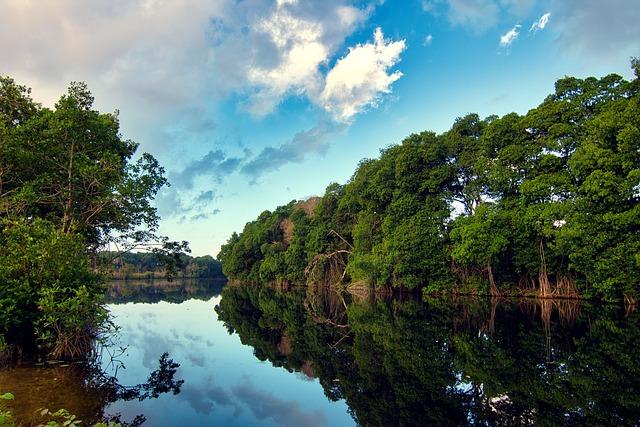 Impacts of Mangrove Ecosystems on Coastal Communities