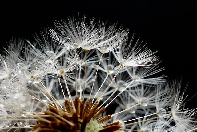 Technological Innovations in Seed Production and Their Benefits