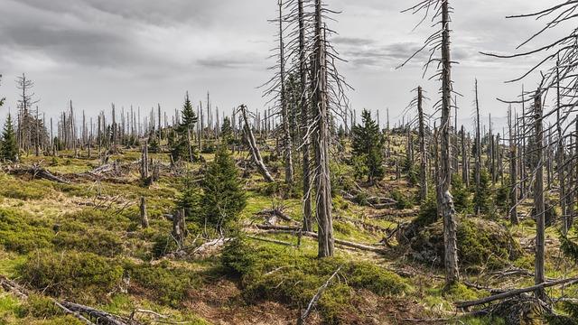 Environmental Factors Contributing to Increased Flood Risks