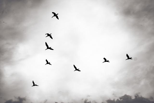 Policy Recommendations for a Balanced Approach to Migration Issues