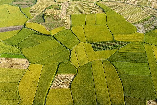 The Role of Technology and Innovation in Transforming african Agriculture