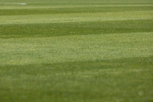 analyzing Pitch conditions: Key Factors for Success in the Champions Trophy