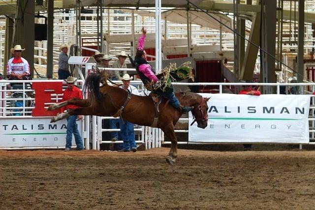 Understanding the Factors Behind the Stampede Incident
