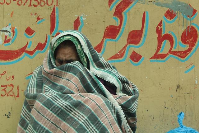 Success Stories: Transformative Impact of Education on Refugee Lives