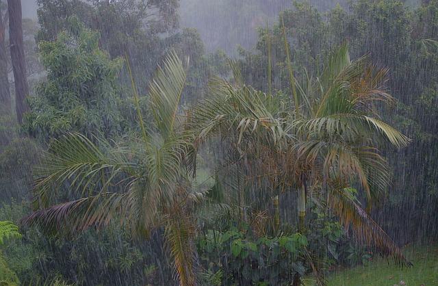 Above-normal rainfall forecast for Greater Horn of Africa for June to September – wmo.int Above-normal rainfall forecast for Greater Horn of Africa for June to September – wmo.int