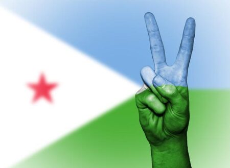 The strategic importance of Djibouti for the world superpowers – – Istituto Analisi Relazioni Internazionali