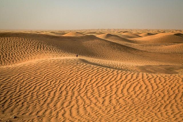Africa News Tonight: Saied dominates in Tunisia election, China drives into South Africa auto market, Kenyan runner suspended over drug test – VOA Africa