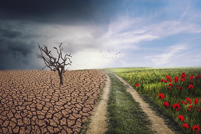 How climate change is impacting sports in Africa – Dialogue Earth