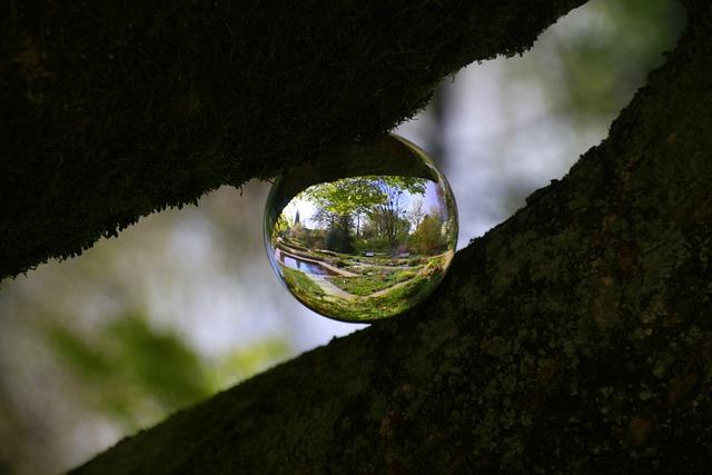 The Role of Public‍ Perception: Engaging Citizens in Diplomatic Efforts
