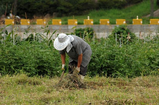 Understanding the context of Violence Against farmers in South Africa