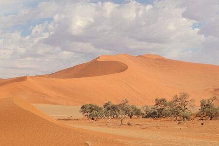 Namibia’s unemployment rate rises to 36.9% – Reuters