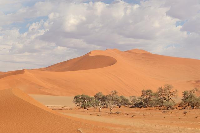 Namibia’s unemployment rate rises to 36.9% – Reuters