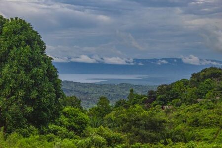 What Congo’s President Thinks of Rwanda: A ‘Mania to Be the Apex Predator’ – The New York Times
