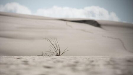 Malawi follows Zambia in declaring drought disaster as El Niño brings hunger to southern Africa – The Associated Press
