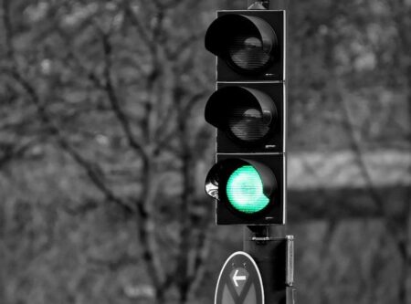 ‘Help bring us home’ – Zimbabwean permit holders say life in SA has become intolerable – Moneyweb