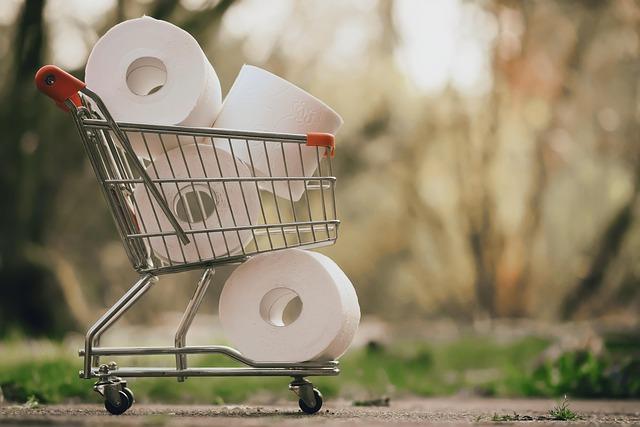Consumer Behavior: Understanding the Psychology Behind Panic Buying