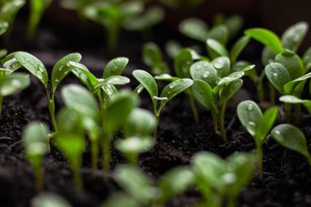 What agents need to know about sustainability certifications – Travel Weekly