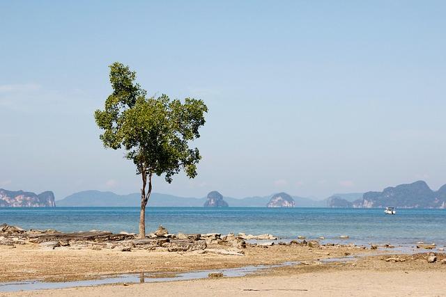 Vanishing shores: This is the impact of rising sea levels in Guinea-Bissau – World Economic Forum Vanishing shores: This is the impact of rising sea levels in Guinea-Bissau – World Economic Forum