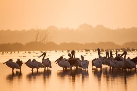 Delta Air Lines Adds More Flights Across African Continent – Travel Noire