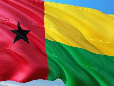 Guinea-Bissau election row: Ecowas mission leaves over President Umaro Sissoco Embalo ‘threats’ – BBC.com