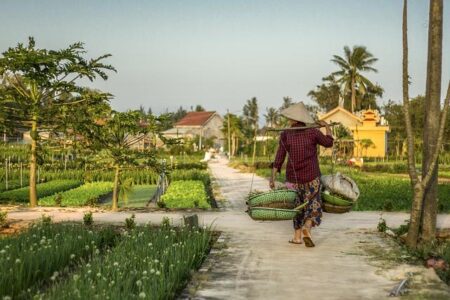 Researchers explore strategies to aid smallholder fish farmers in Zambia – Penn State University