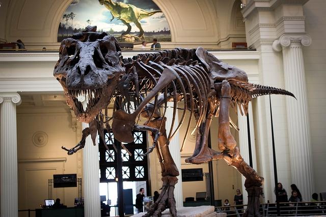 Dinosaur fossil unearthed in Zimbabwe – Nature.com