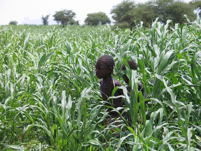 Addressing the Root Causes of Extremism in Mali