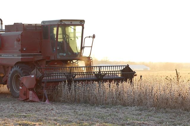 Policy Recommendations to Stabilize Soybean and Chicken Prices