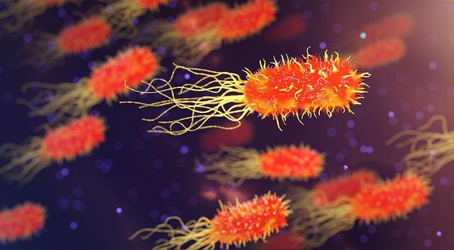 Health Risks and the ‍Spread of Waterborne diseases