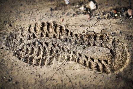 Fossil footprints in Kenya show two ancient human species coexisted – Reuters