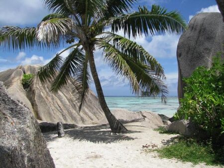 Seychelles Beach Cleanup Shows Potential for Citizens to Tackle Marine Trash – EcoWatch