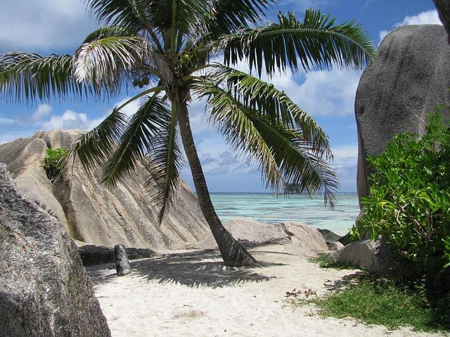 Seychelles Beach Cleanup Shows Potential for Citizens to Tackle Marine Trash – EcoWatch