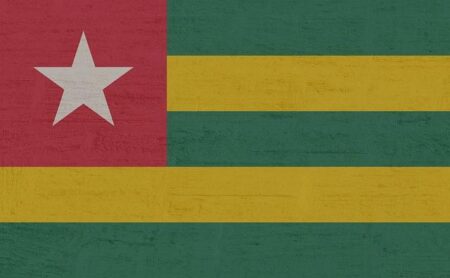 Togo adopts new constitution, parliament set to elect president – FRANCE 24 English