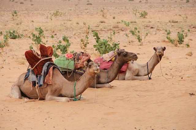 Mauritania is a beacon of stability in the coup-prone Sahel – The Economist