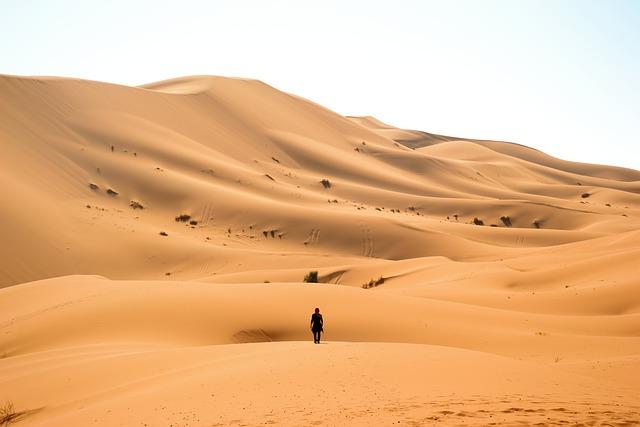 KSA reiterates unwavering support for Morocco’s Sovereignty over its Sahara; commends King’s pioneer initiatives for Africa & support for Palestine – The North Africa Post