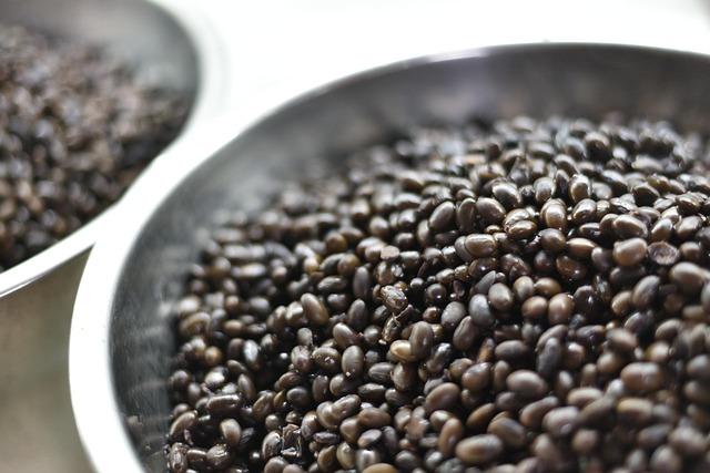 Understanding the Role of Soybean in Chicken Feed Production