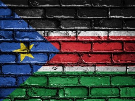 South Sudan: Crisis escalates as military surrounds Vice President’s residence – The North Africa Post