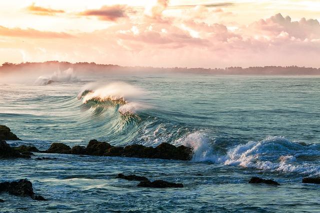 Scientists Chart out Future of Ocean Acidification Research in Africa at High-Level Conference in Liberia – International Atomic Energy Agency