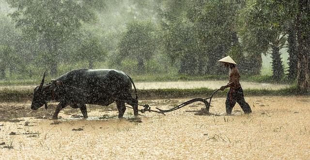 Sustainable Solutions for Livelihoods at the Water's edge