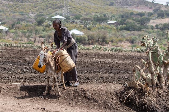 Ethiopia – Agriculture, Coffee, Trade – Britannica Ethiopia – Agriculture, Coffee, Trade – Britannica