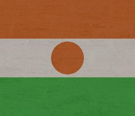 US to complete withdrawal from Niger by Sept. 15 – Reuters.com