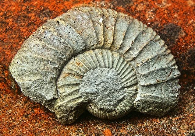 Recommendations for Future Research and Exploration in Paleontology